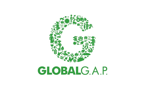 https://www.greenhouseproduce.net/wp-content/uploads/2020/08/certificaciones_globalgap_logo.png